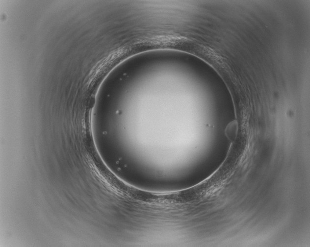 X0000057090633200509091314