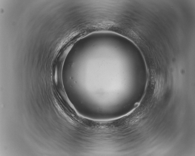 X0000057090634200509091314