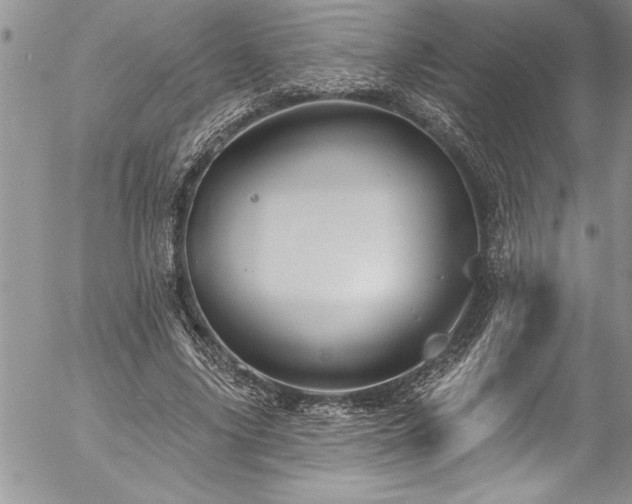 X0000057090635200509091314