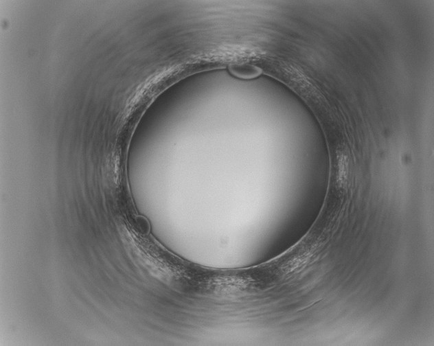 X0000057090636200509091314