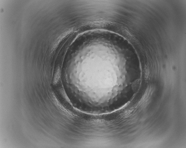 X0000057090637200509091314