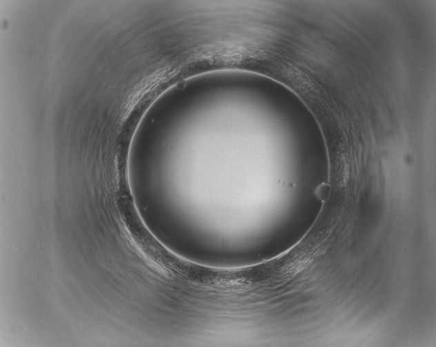 X0000057090638200509091314