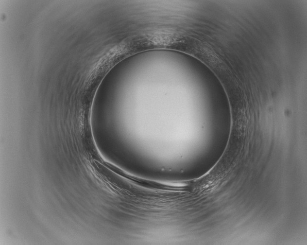 X0000057090639200509091314