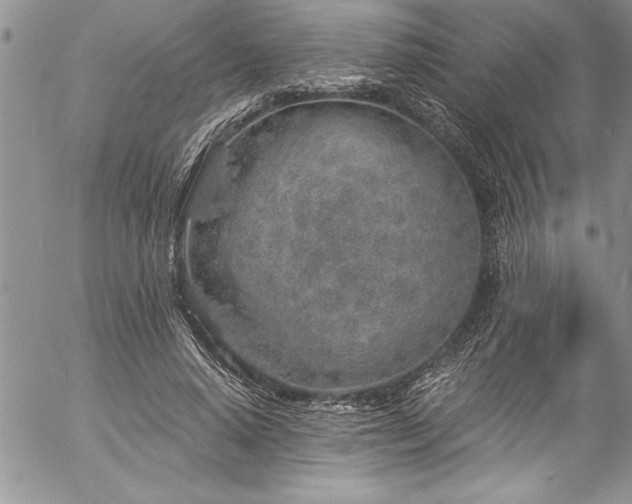 X0000057090640200509091314