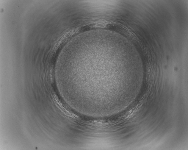 X0000057090641200509091314