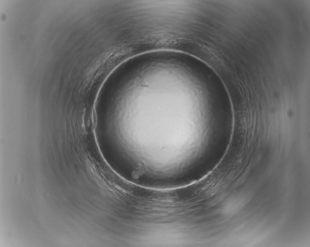 X0000057090643200509091314