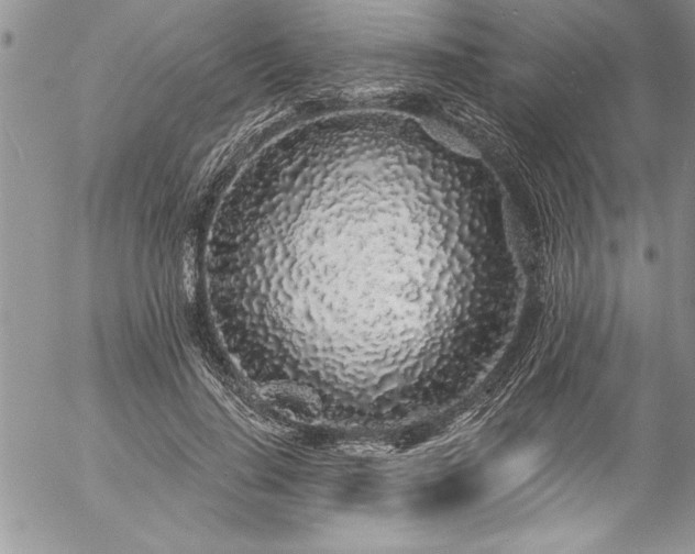 X0000057090644200509091314