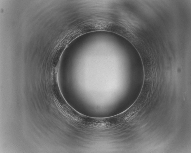 X0000057090646200509091314