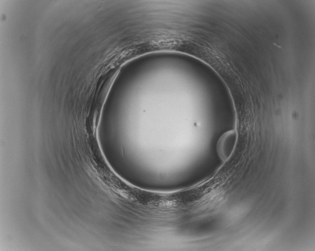 X0000057090647200509091314