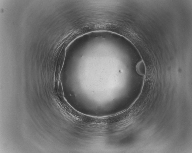 X0000057090648200509091314