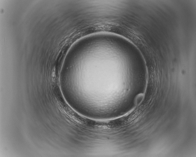 X0000057090649200509091314