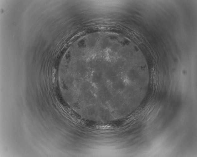 X0000057090650200509091314