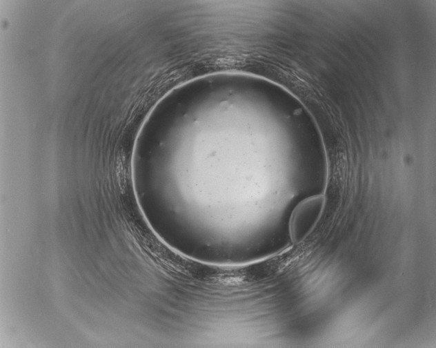 X0000057090651200509091314