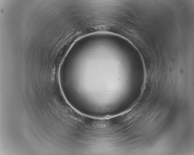 X0000057090652200509091314