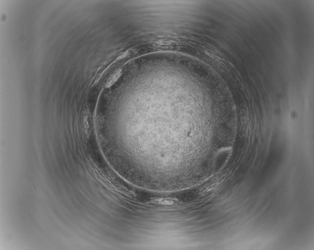 X0000057090654200509091314