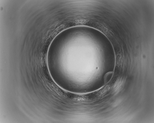 X0000057090655200509091314