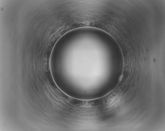 X0000057090656200509091314