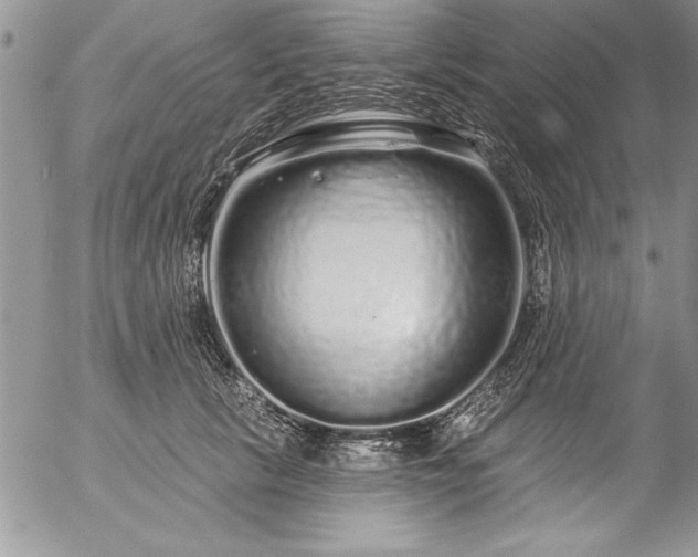 X0000057090657200509091314