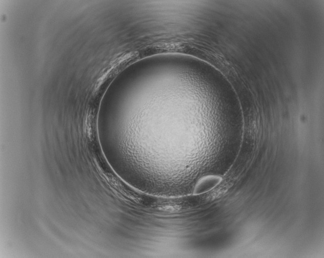 X0000057090658200509091314