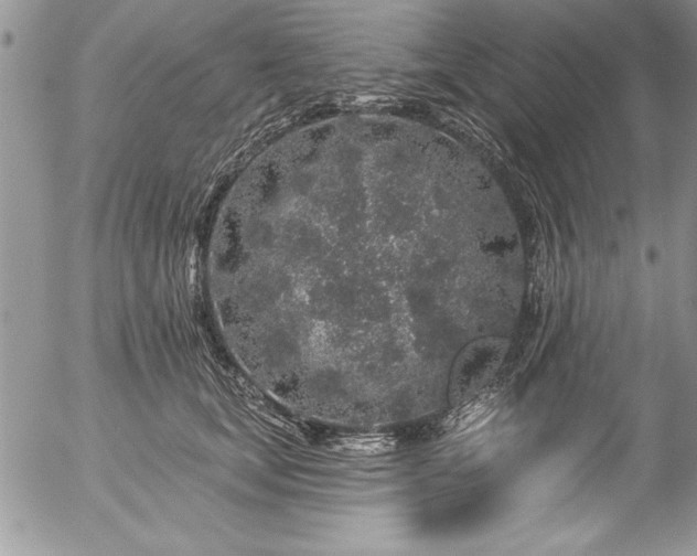 X0000057090659200509091314