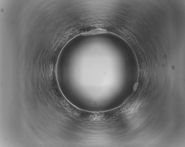 X0000057090660200509091315