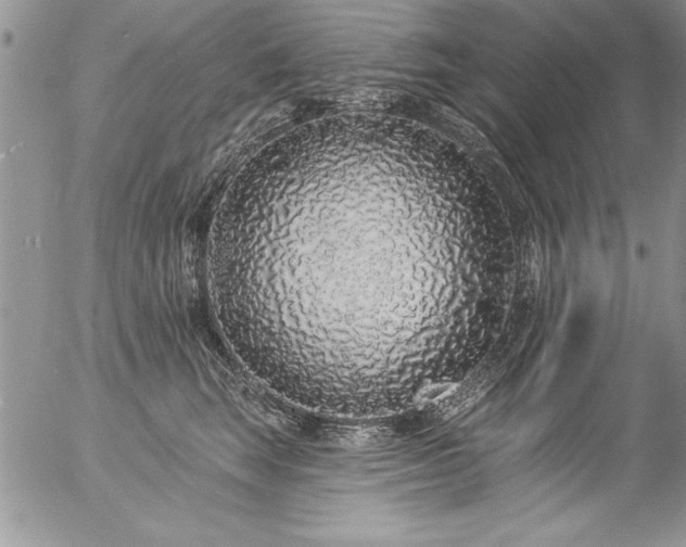 X0000057090663200509091315