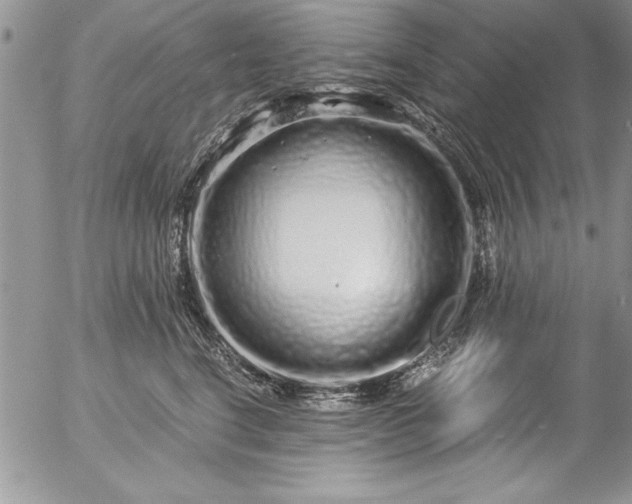 X0000057090664200509091315