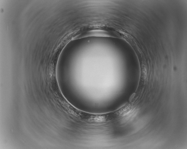 X0000057090665200509091315