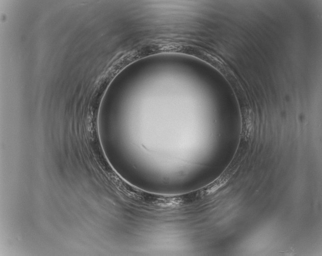 X0000057090667200509091315