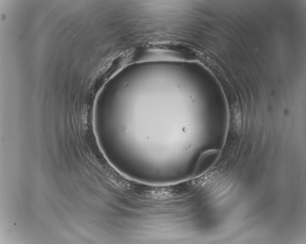 X0000057090668200509091315