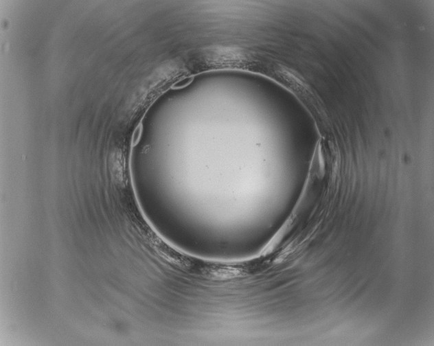 X0000057090669200509091315