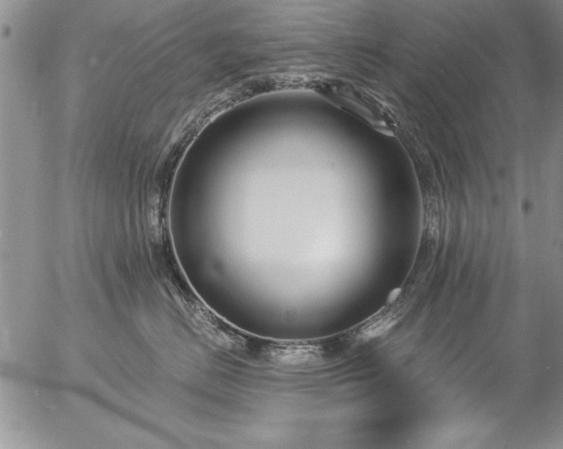 X0000057090670200509091315