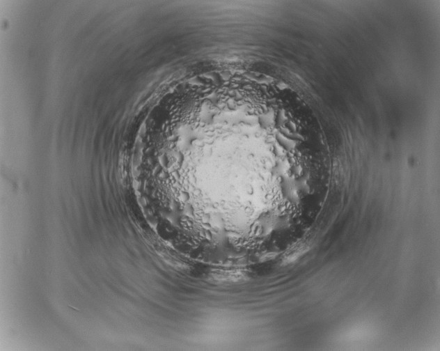 X0000057090671200509091315