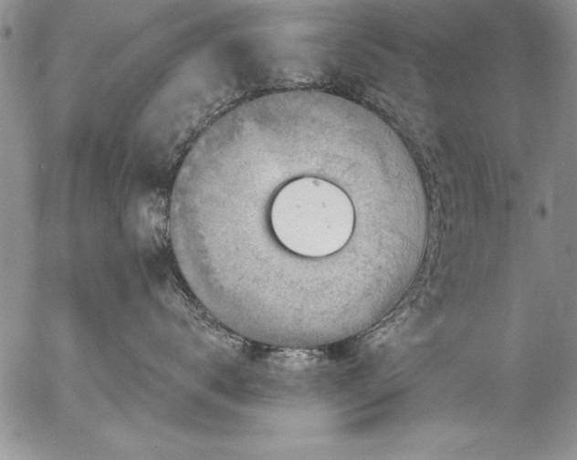 X0000057090672200509091315