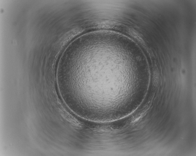 X0000057090673200509091314