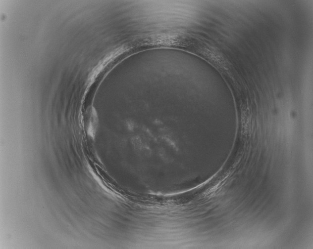 X0000057090674200509091314