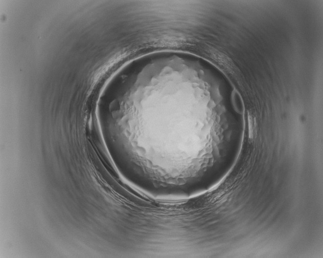 X0000057090675200509091314