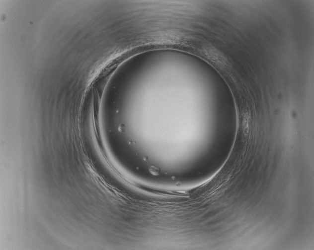 X0000057090676200509091314