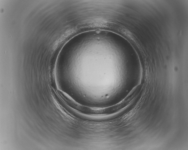 X0000057090677200509091314