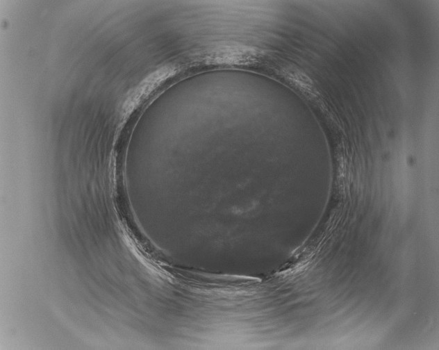 X0000057090678200509091314