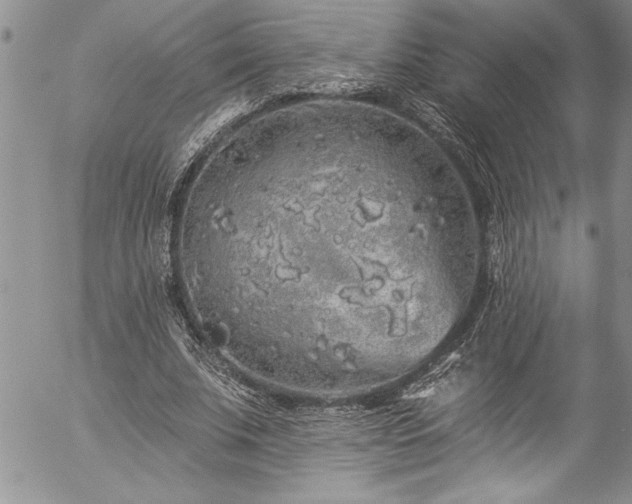 X0000057090679200509091314