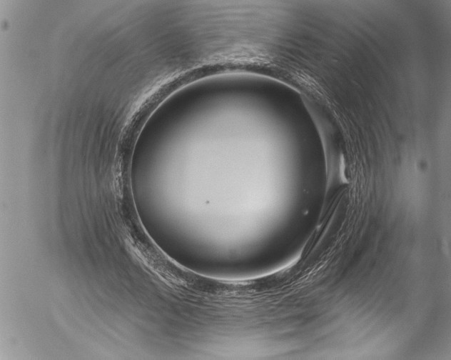 X0000057090680200509091314