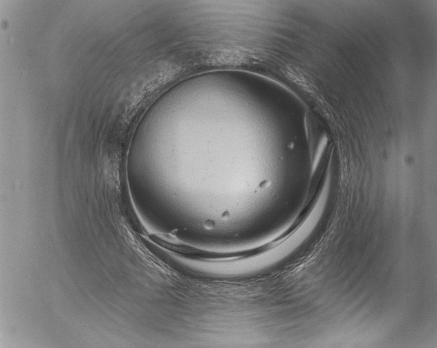 X0000057090681200509091314