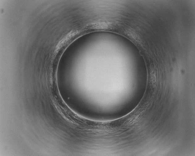 X0000057090682200509091314