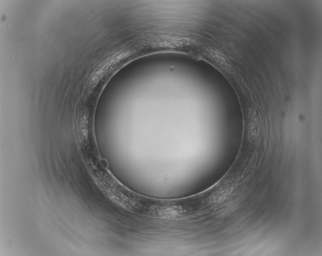 X0000057090683200509091314