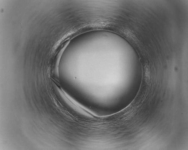 X0000057090684200509091314