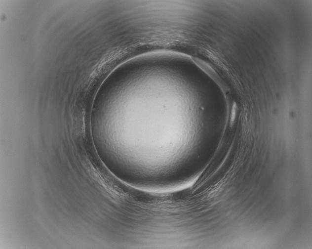 X0000057090685200509091314