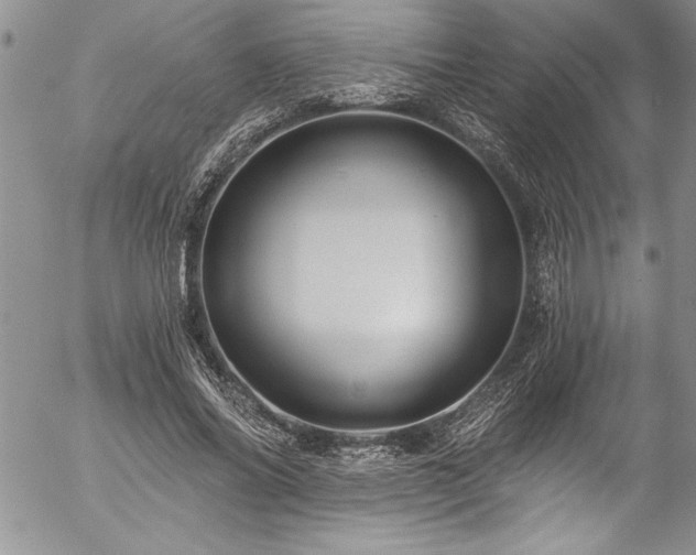 X0000057090686200509091314