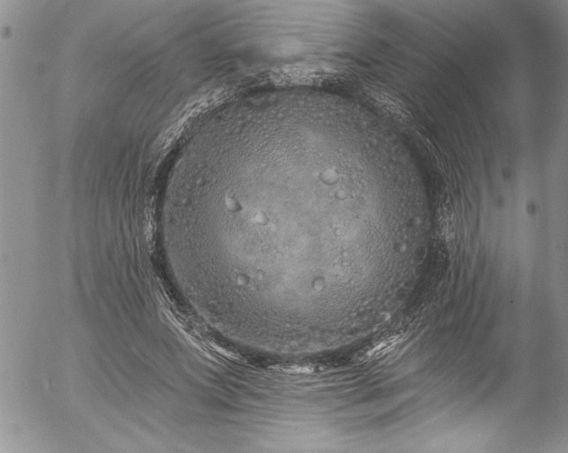 X0000057090687200509091314