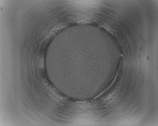 X0000057090689200509091314